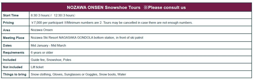 nozawa onsen snow shoe prices