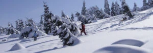 nozawa backcountry