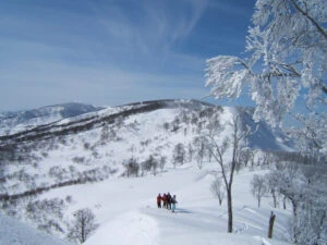 About Us - Destination Madarao Kogen